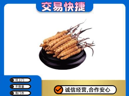 龙湾区礼品回收散虫草.jpg